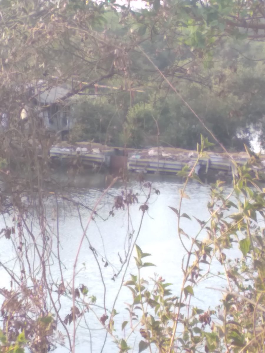 sachinsata's tweet photo. Blocks blocks everywhere!
No one to unblock!
Clock clock ticking away⏰

Kamothe Mangroves bearing the brunt of development. Tidal waters blocked all around. Save Mangroves Save Wetlands. Think of our Children!

@AUThackeray
@MahaForest
@MangroveForest 
@vrtiwari1 
@CIDCO_Ltd https://t.co/M8XMxRr3ec