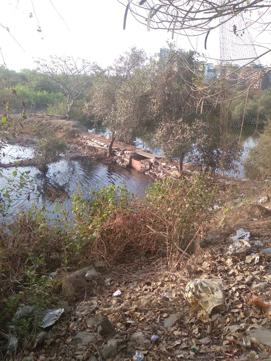 sachinsata's tweet photo. Blocks blocks everywhere!
No one to unblock!
Clock clock ticking away⏰

Kamothe Mangroves bearing the brunt of development. Tidal waters blocked all around. Save Mangroves Save Wetlands. Think of our Children!

@AUThackeray
@MahaForest
@MangroveForest 
@vrtiwari1 
@CIDCO_Ltd https://t.co/M8XMxRr3ec