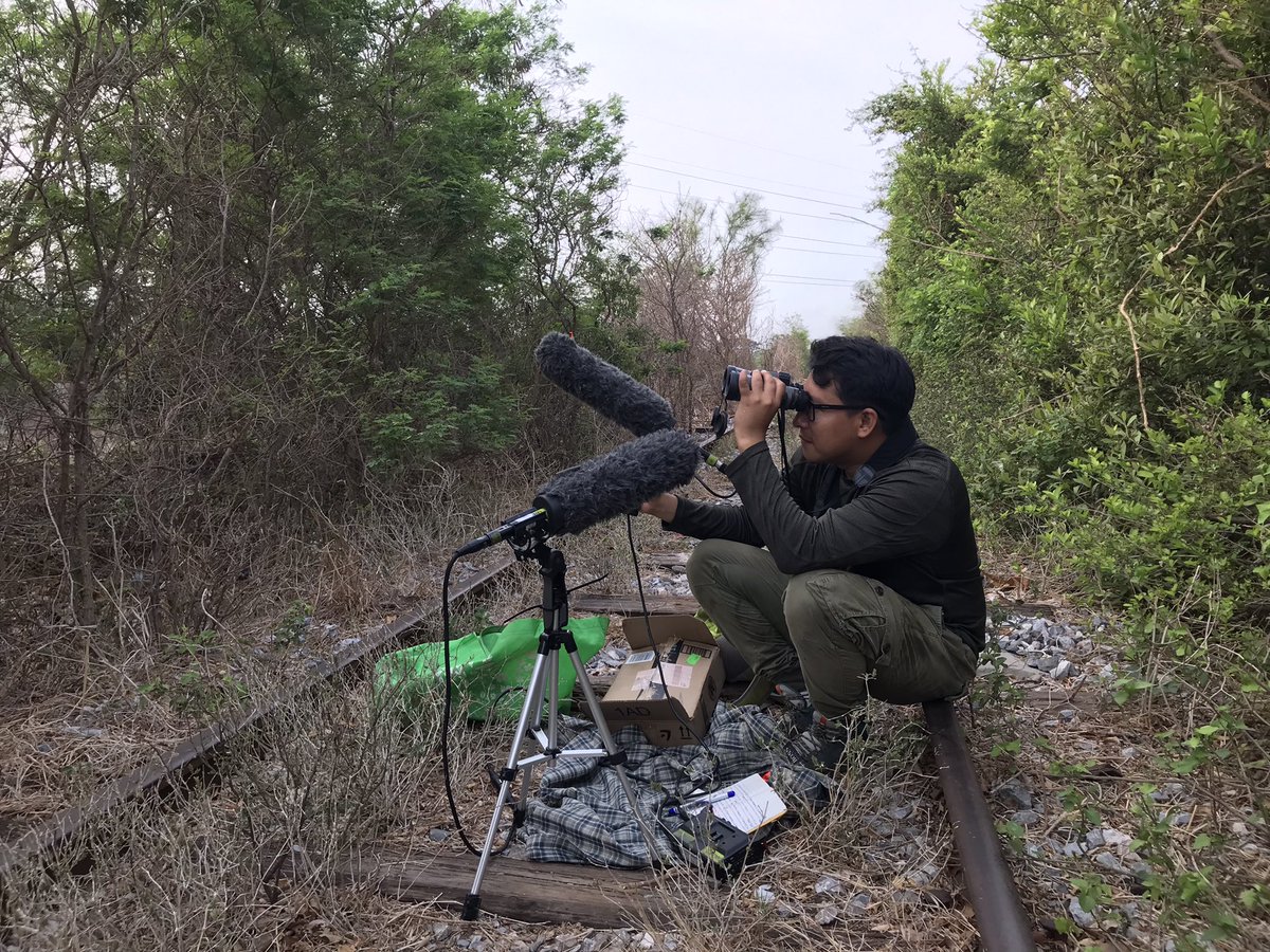 WiliamKu's tweet photo. Behavioral trials are going great in spite of the very hot 🥵 temperatures in the Tehuantepec Isthmus! https://t.co/Nq6YHWDzVo