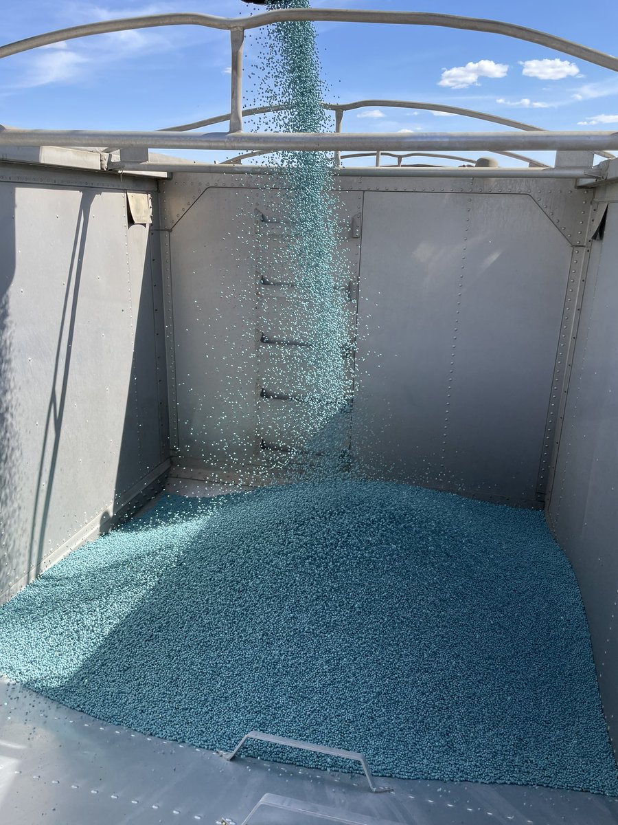 When a semi color matches it’s product. 🤌🏻 #YellowPeas treated w/ #TrilexEverGol + #PrecisionStarter. 💙

<a href="/Bayer4CropsCA/">Crop Science Canada</a> <a href="/TaurusAgTeam/">Taurus Ag</a> <a href="/KSiEdge/">KSi</a> #Plant22