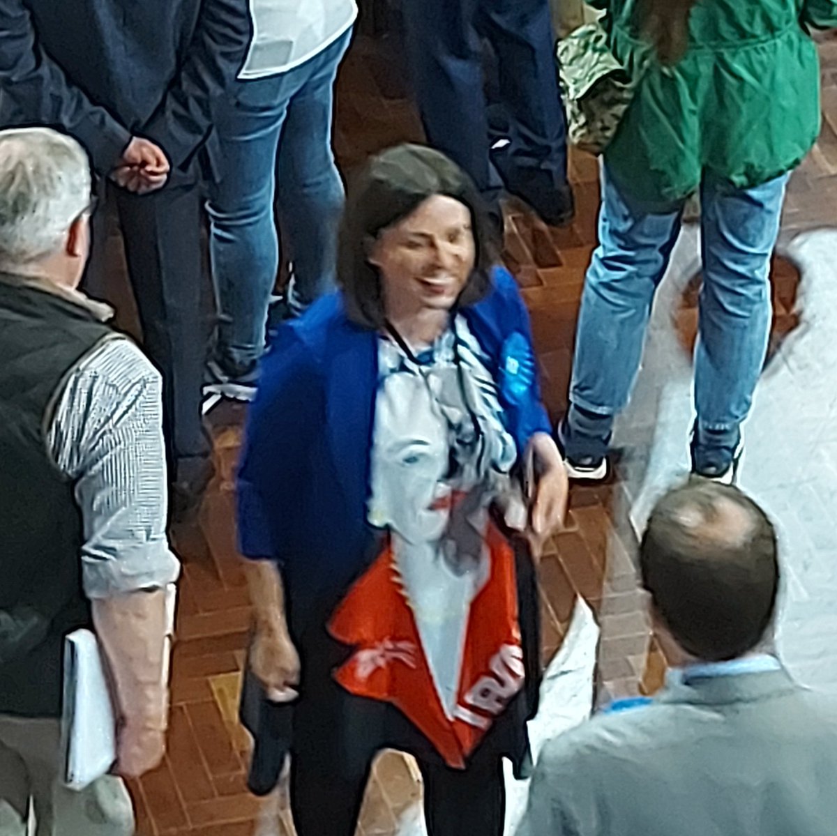 Geates's tweet photo. Tory councillor @cllrsammurray showing off her Iron Lady dress at the Ipswich count. https://t.co/leVESVSyZV