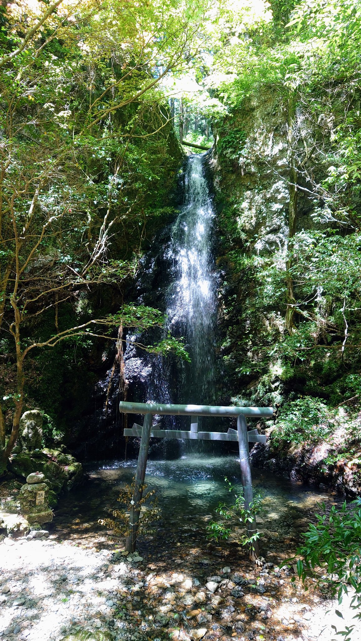 Tweets With Replies By Bomber Koo Bombarkoo Twitter