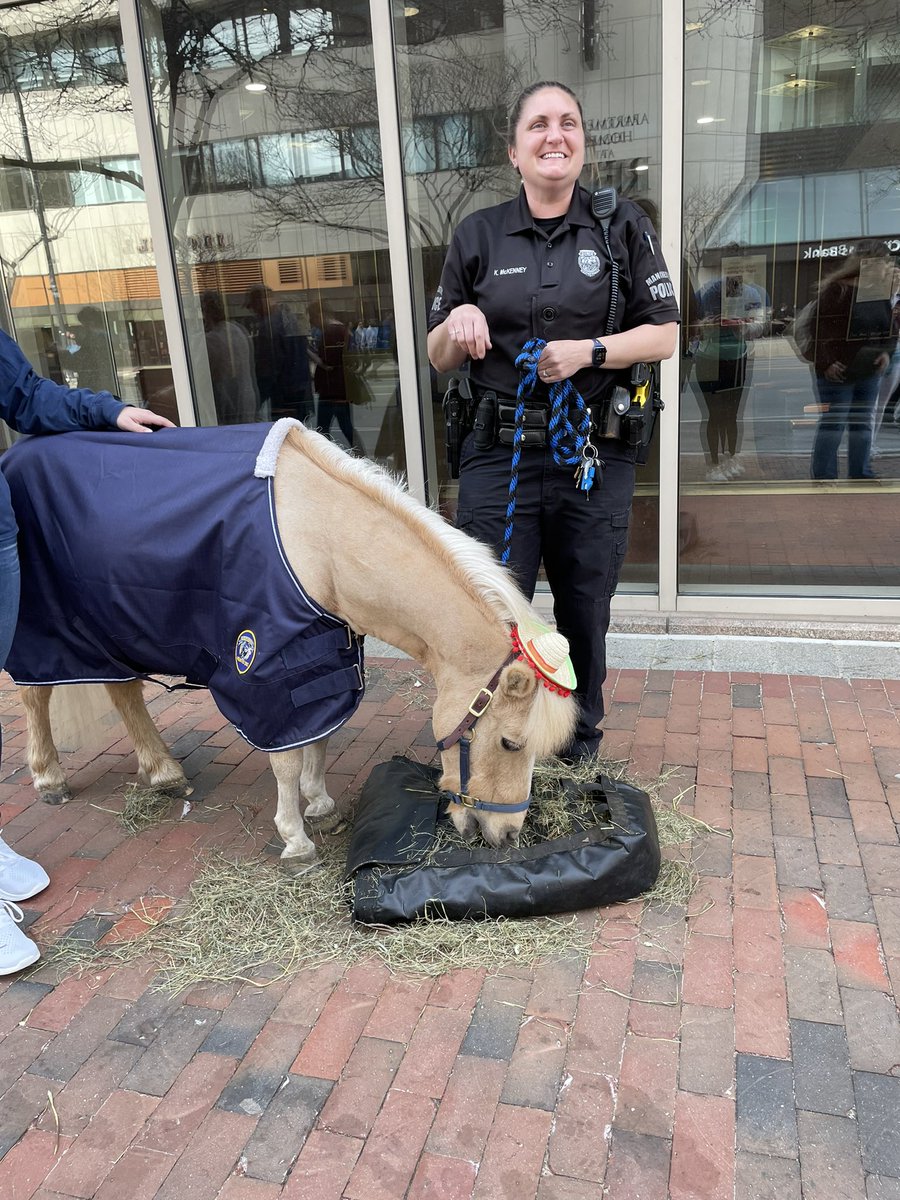 MayorJoyceCraig's tweet photo. It’s safe to say Taco Tour 2022 was 💯.
Thank you to the thousands (!) of people, pets and ponies who came out. Every taco I had was absolutely fantastic. 🌮 #MHTpride https://t.co/lnAlVgq3gI