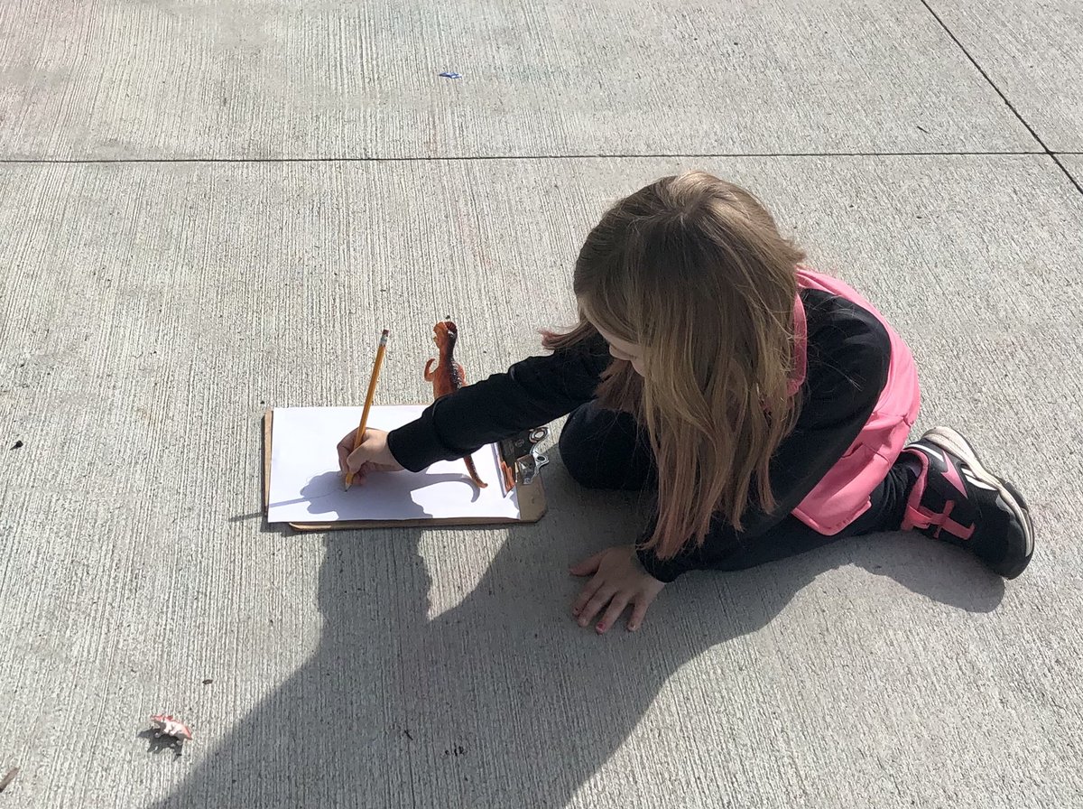 BellflowerCirK's tweet photo. Celebrating A-Z countdown in Kindergarten 🙌🏻 Today was D for dinosaurs and the children loved shadow drawing🦖🦕
#bellflowerway #onceacard #kindergarten https://t.co/NFpLN1MVGC