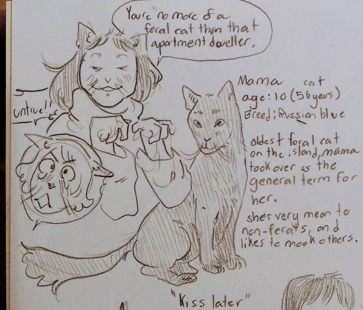 nem isnt even a real alleycat shes a housecat who escaped but gets fed by the locals at the apartment so Mama (matriarch to the ferals) constantly gets on the trash cans and goes SHE IS NOTHING BUT A PART TIMER. WHO GOES HOME TO SHOWER IN A BATHTUB