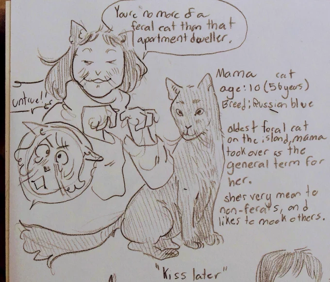 nem isnt even a real alleycat shes a housecat who escaped but gets fed by the locals at the apartment so Mama (matriarch to the ferals) constantly gets on the trash cans and goes SHE IS NOTHING BUT A PART TIMER. WHO GOES HOME TO SHOWER IN A BATHTUB 
