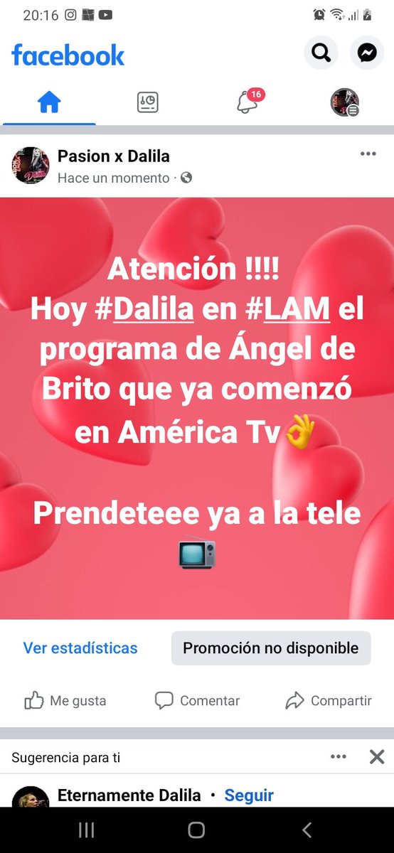 Pasion x Dalila (@pasionxdalila) on Twitter photo 