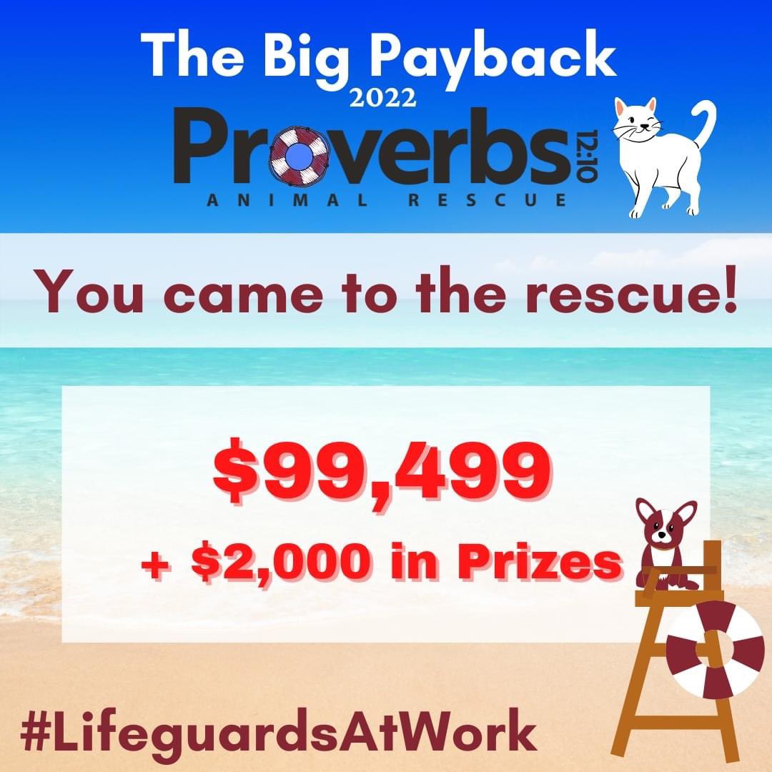 TNProverbs1210's tweet photo. What a WILD twenty-four hours!!! Thanks to you Proverbs Nation, we were able to have the BEST Big Payback to date! We raised $99,499 + an additional $2,000 in prize money! WAY TO GO TEAM PROVERBS!!!! #LifeguardsAtWork #TheBigPayback #TheCommunityFoundation #proverbsnation https://t.co/ceGW3D9Q0M