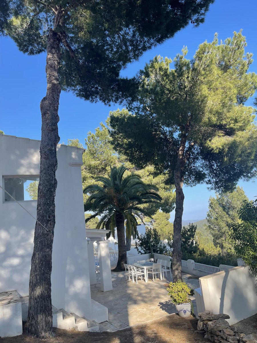 biondifilo's tweet photo. Ibiza 🌴 https://t.co/JYNMIqgbYl