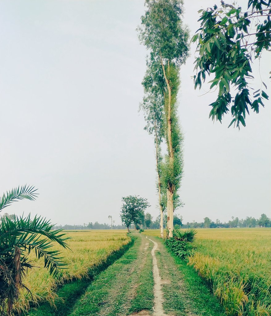 AdiPolash's tweet photo. যারা অসংখ্য মানুষকে মোহিত করতে পারে; তারা নিজের মানুষকেই মুগ্ধ করতে পারে না !

🍂 https://t.co/4JCOFaBpjY