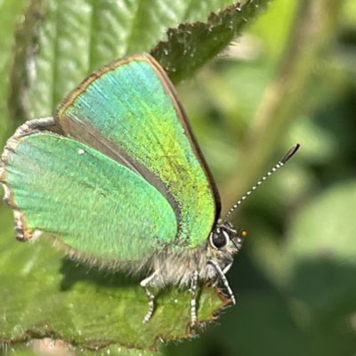 pollylizzy's tweet image. #NewProfilePic