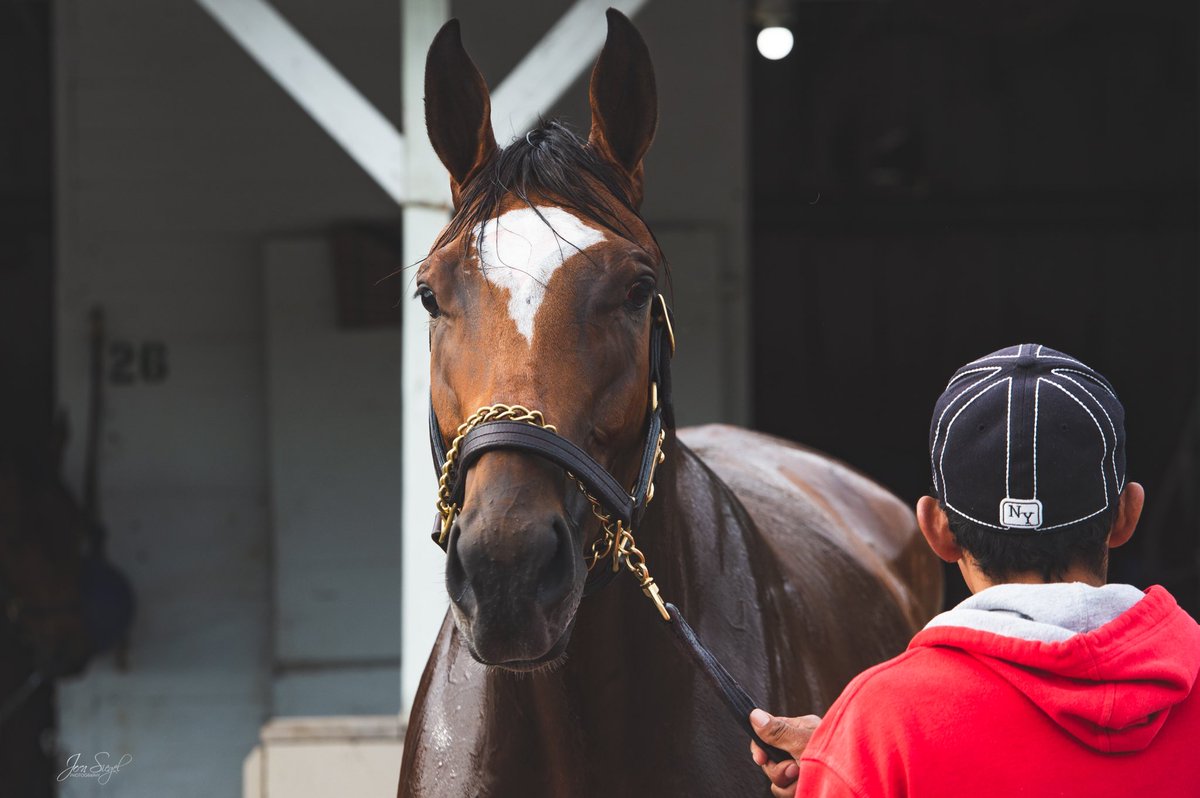 Denali Stud tweet media