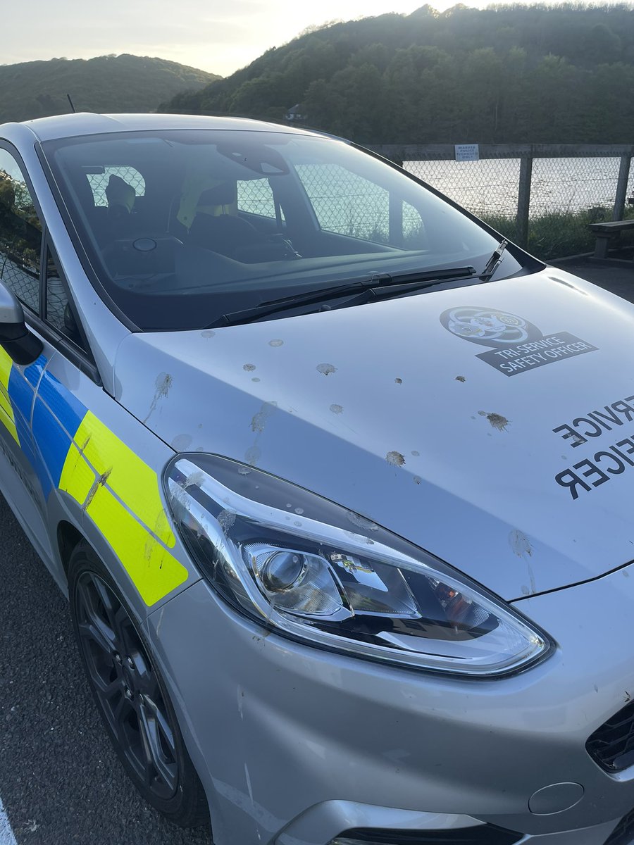 Looe Tri-Service Safety Officer Bradley Barnes 〓〓 (@looetsso) on Twitter photo Busy set of shifts again with multiple <a href="/DC_Police/">Devon & Cornwall Police</a> incidents, NPT taskings and <a href="/swasFT/">South Western Ambulance Service</a> category 1 calls. Also managed to catch up with <a href="/steveopafc/">Stephen Matthews</a> who was delivering some defib ⚡️ training for the community. Was even left a gift for my work from one of the locals 🤣 💩 #2hoursleft Busy set of shifts again with multiple <a href="/DC_Police/">Devon & Cornwall Police</a> incidents, NPT taskings and <a href="/swasFT/">South Western Ambulance Service</a> category 1 calls. Also managed to catch up with <a href="/steveopafc/">Stephen Matthews</a> who was delivering some defib ⚡️ training for the community. Was even left a gift for my work from one of the locals 🤣 💩 #2hoursleft