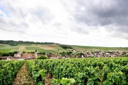 lyonne_fr's tweet photo. #Chitry, "le plus chablisien des #vignobles auxerrois"
https://t.co/3CJrBzdiNL https://t.co/6NqxnOYqow