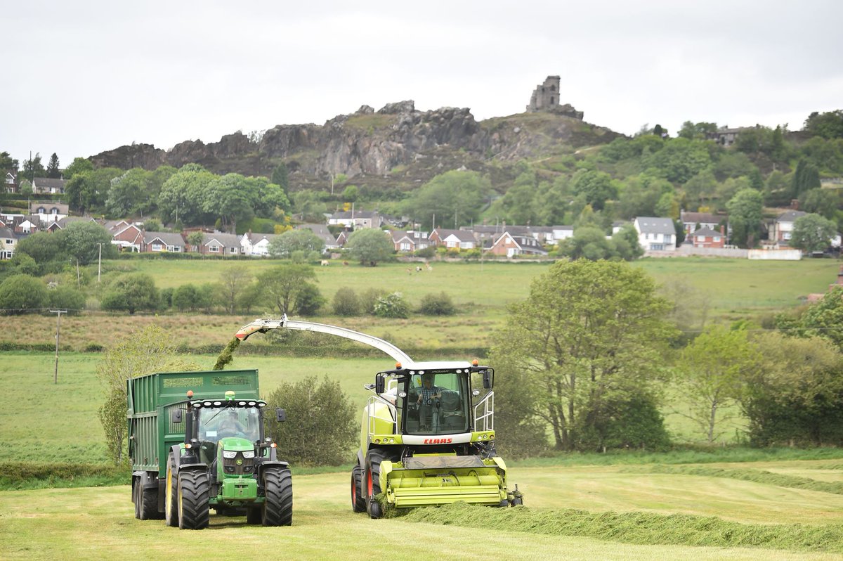 ꜱɪʟᴀɢᴇ ᴛɪᴍᴇ
🌿 Fibre levels are high
🌿 Silage ASAP to maintain quality
🌿 Don't leave the silage down too long in warm weather as it reduces feeding value
🌿 Pre-cut testing is available via our mills 
🌿 We can also provide silage inoculant

#masseyfeeds