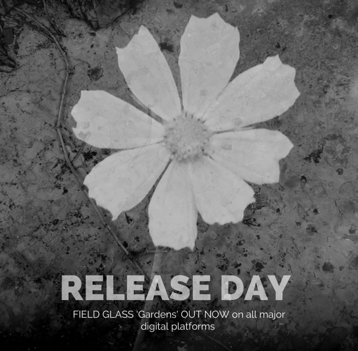 fieldglassmusic's tweet photo. We are really happy to say that our debut single ‘Gardens’ is out today! You can hear it on the places where we listen to music 🌳

Our album ‘Kin’ will be available to preorder from tomorrow on @Happyrobotsrecs 🤖 

https://t.co/1Un6QLsFCC https://t.co/D07poypI9A
