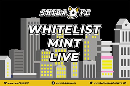 SHIBAYC | NFT MINTING LIVE tweet media