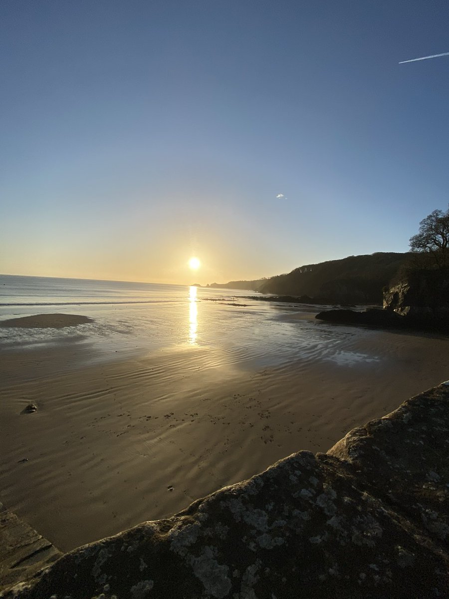 Pembrokeshire_Pirate tweet media