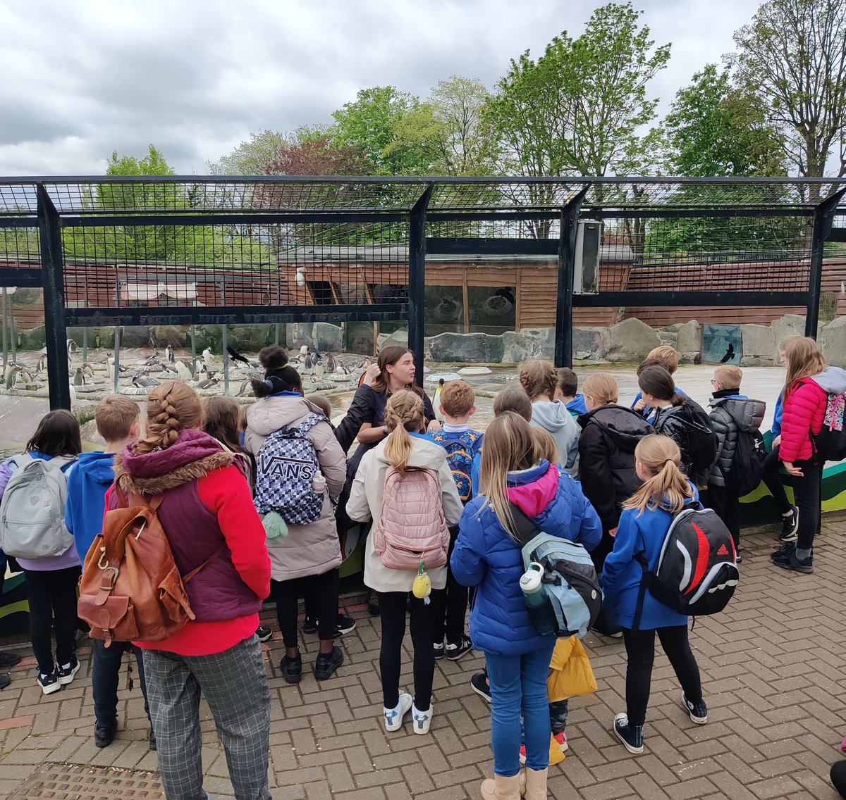 Burnbrae P2B tweet media