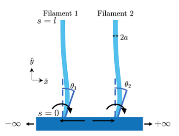 Physical Review Fluids tweet media