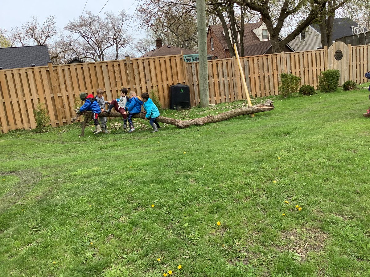 JBrentECE's tweet photo. Hill time fun. No toys. No materials. Just open play and tons of funπ Oh how they love interacting in their world!
#NatureIsAClassroom https://t.co/TaY90i83Zd