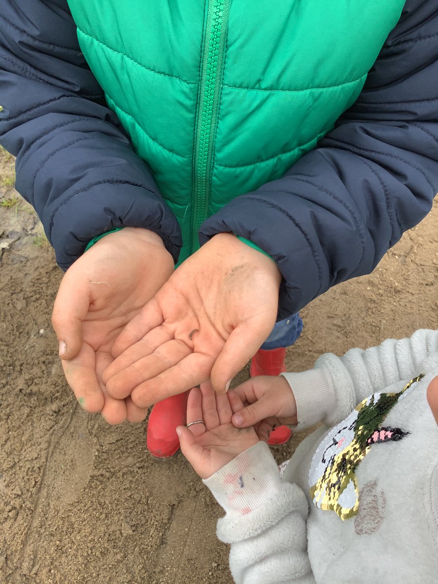 JBrentECE's tweet photo. Hill time fun. No toys. No materials. Just open play and tons of funπ Oh how they love interacting in their world!
#NatureIsAClassroom https://t.co/TaY90i83Zd