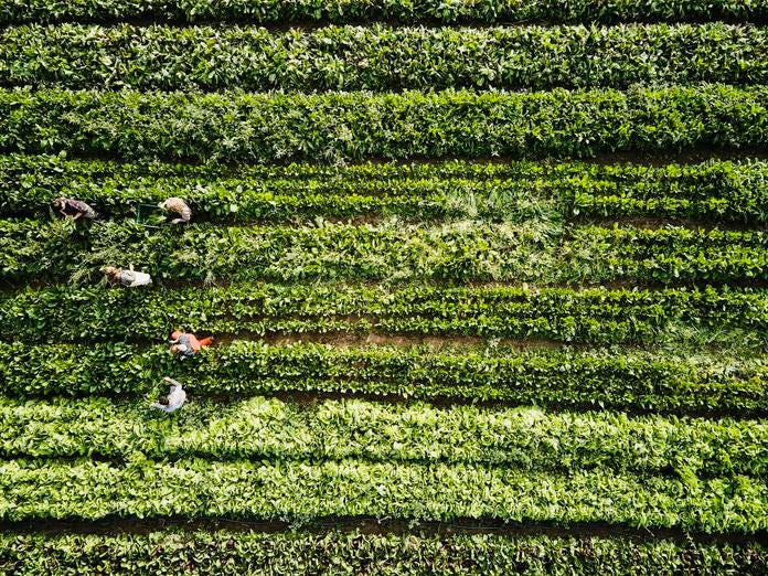 How The Food Industry Can Meet The Needs For Traceability And Sustainability

What would enable farmers and their partners to be paid more for climate-smart practices? From <a href="/ForbesTechCncl/">Forbes Technology Council</a> rfr.bz/t4ax0ch