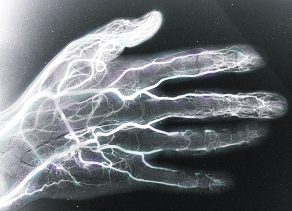 Archillect (@archillect) on Twitter photo 