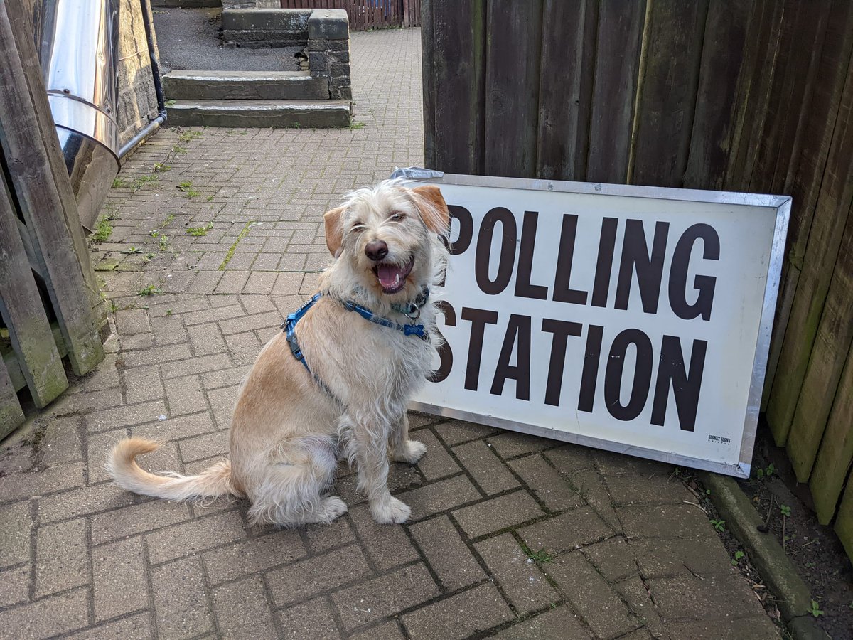 MBArmstrong1's tweet photo. #dogsatpollingstations https://t.co/oMfatqr3fq