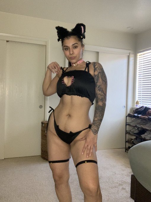 Meow 🐱 https://t.co/eHU2hSg70b