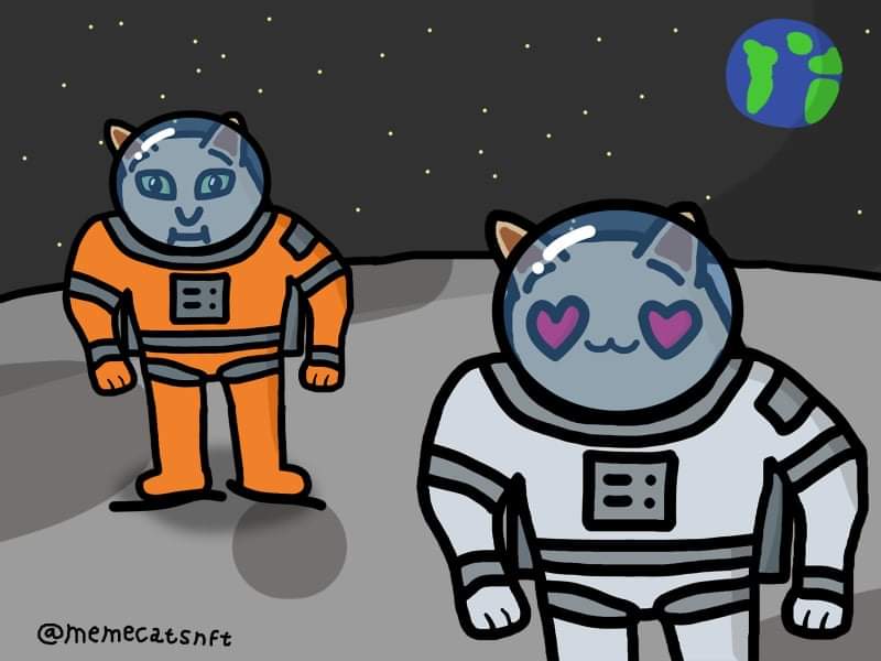 Ruese7's tweet photo. @collect0r_nft Into memes and cats? Help me with this Twitter Raid! 🔥 A collection of 4444 hand-drawn CC0 pieces inspired by the digital culture and memes. Coming in May with the mint price of 0.004 eth #NFTCommunity #NFT #NFTartwork #NFTProjects #NFTdrops @MemeCatsNFT https://t.co/L4CDBFEMPH