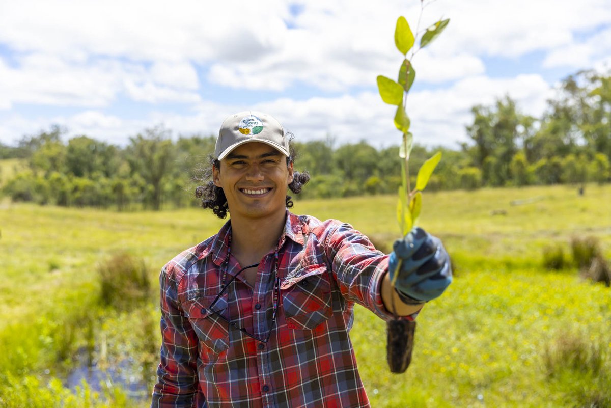arborday's tweet image. The best time to plant a tree was 50 years ago, the second best time is now.