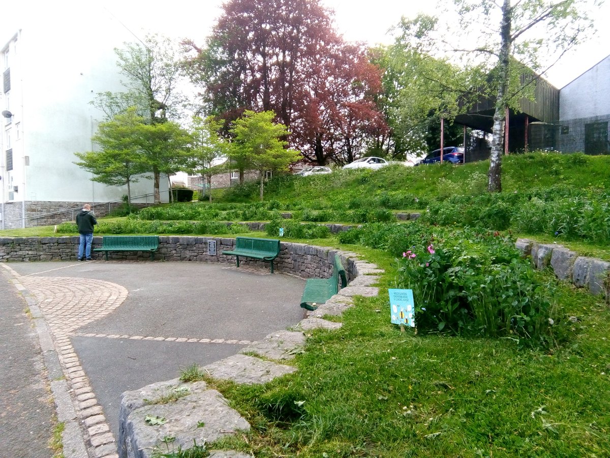 Bertrum99's tweet photo. Well that was a pleasant surprise... Planting for pollinators in #kendal town centre. Looking forward to the buzz! #getcumbriabuzzing #kendaltowncouncil #wildflowers #pollinators @cumbriawildlife #bees https://t.co/XXPoMmSGEM