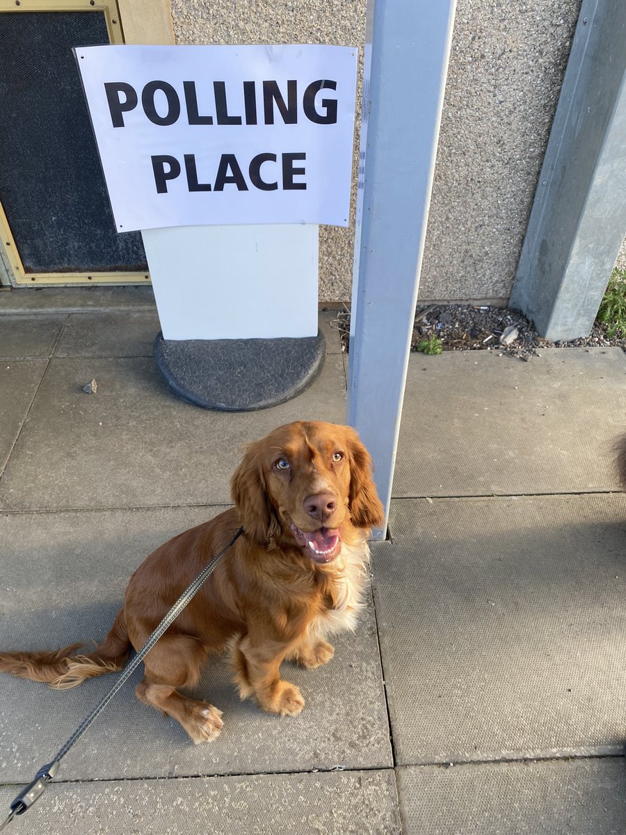 We voted🗳#dogsatpollingstations