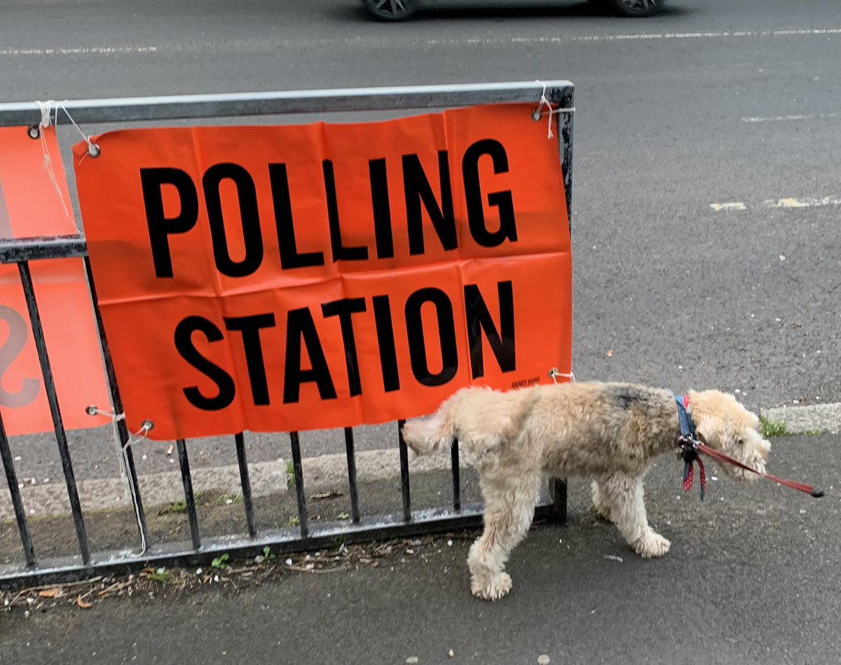 #votethebastardsout Slim pickings at the ballot box but democracy is important. #votedog.