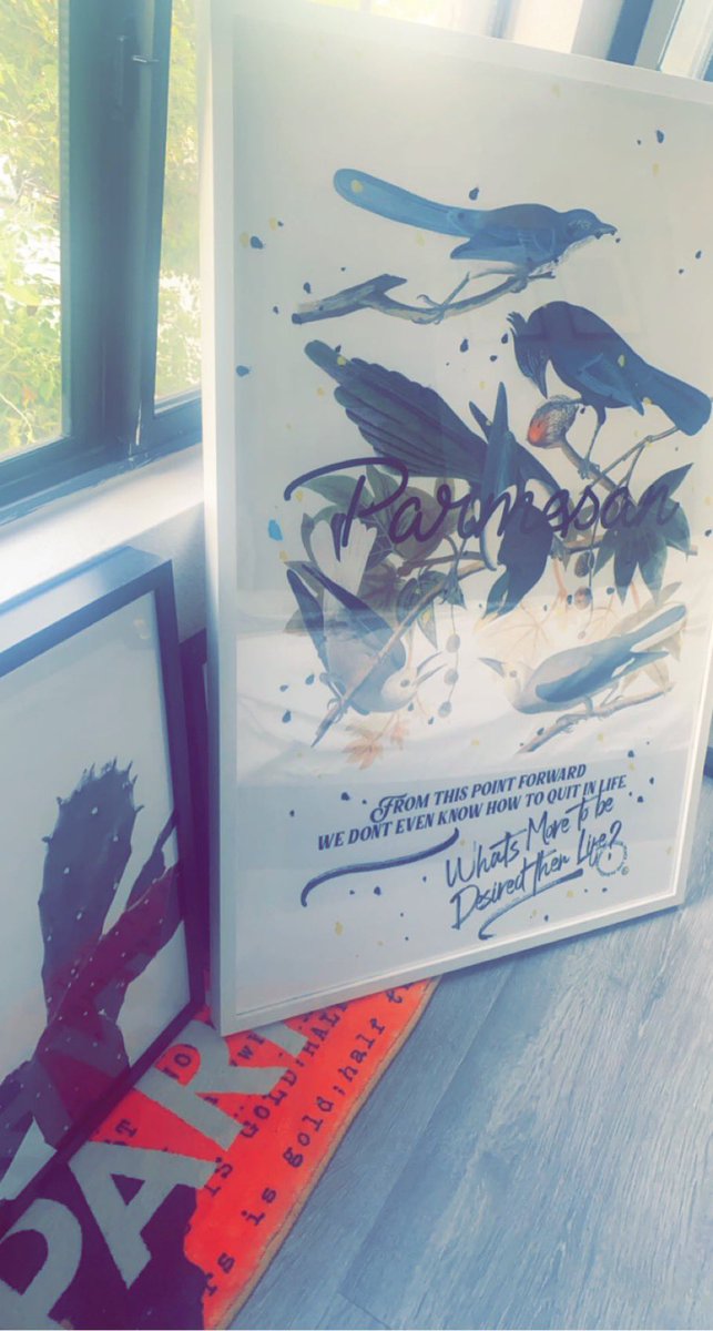 RalphGilligan's tweet photo. Birds of a Feather… whatever whatever https://t.co/4SuWtWY1ry