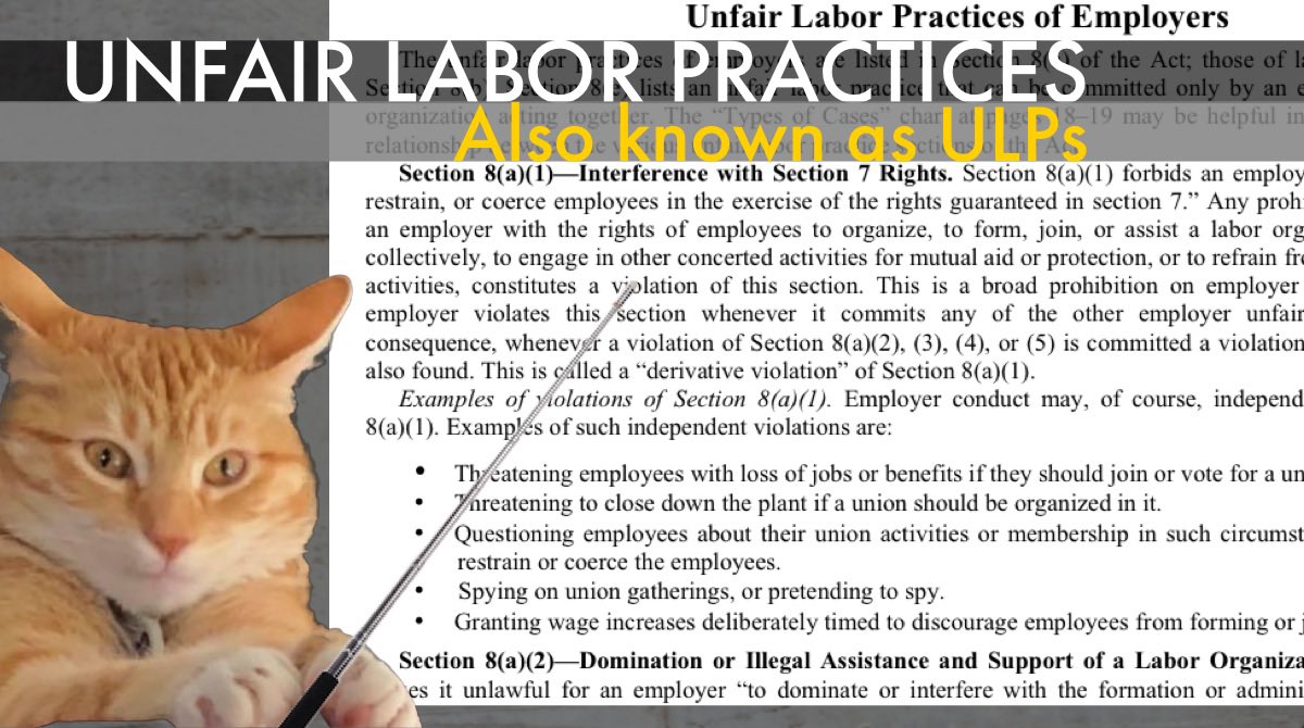 Graphic titled UNFAIR LABOR PRACTICES
also known as U L P.
A freaked out looking orange cat is holding a
pointer in his front paws in front of text below

Unfair Labor Practices of Employers
Any prohibited interference by an employer
with the rights of employees to organize,
form, join, or assist a labor organization,
bargain collectively, engage in other
concerted activities for mutual aid or
protection, or to refrain from these activities,
constitutes a violation. An employer violates
this section whenever it commits any of the
other unfair labor practices.
Examples:
Threatening with loss of jobs or benefits if
they should join or vote for a union.
Threatening to close down if a union is
organized
Questioning employees about union activities
or membership in coercive manner
Spying on union gatherings, or pretending to.
Granting wage increases deliberately timed to
discourage employees from forming or joining a union.