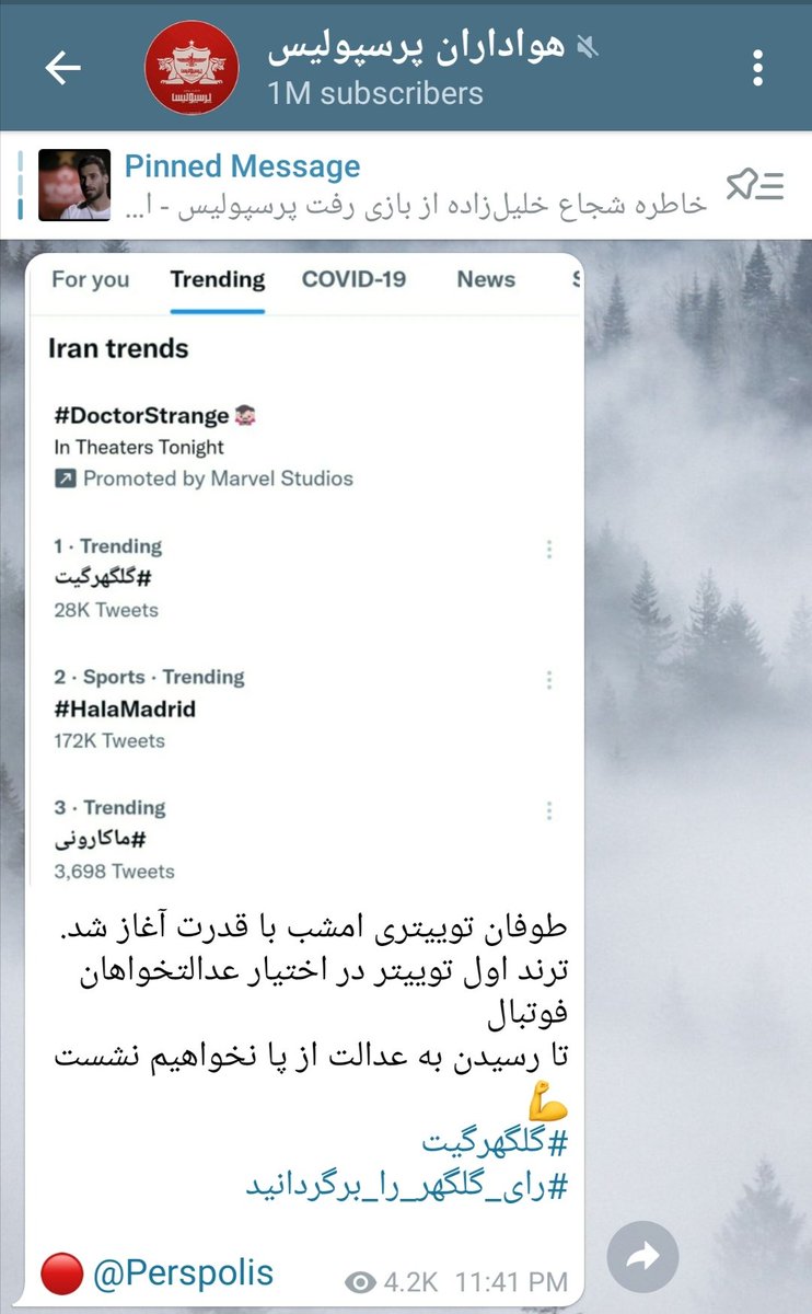 مرسی از محسن شاهمرادی و بچه های کانال هواداران پرسپولیس که کنارمون بودن.
#گلگهرگیت