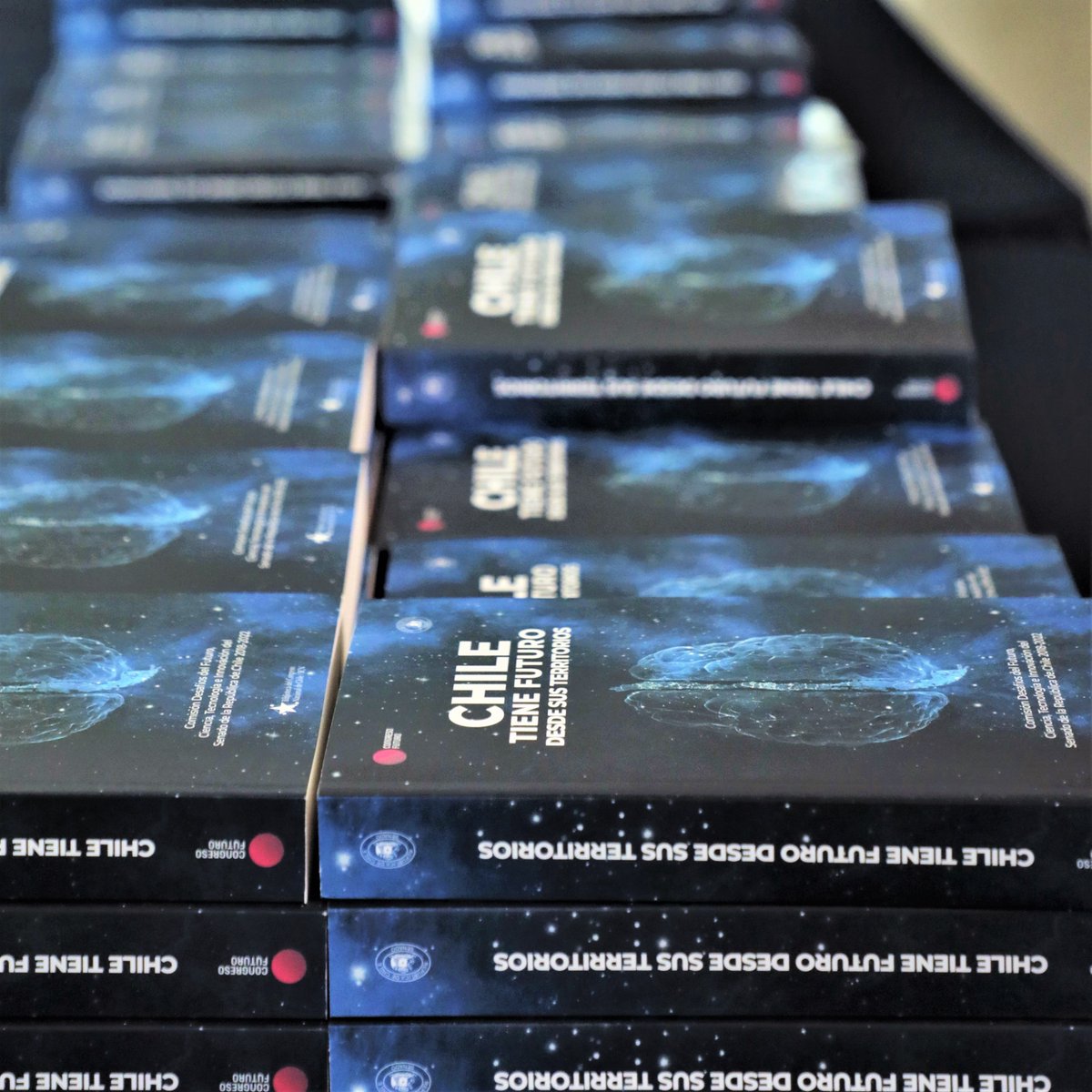 guidogirardi's tweet photo. Tenemos que recuperar el pilotaje democrático del futuro. Debemos ser capaces de anticiparnos a un mundo que será cambiante. Hoy presentamos libro "Chile tiene futuro desde sus territorios", en @FenInnovacion, libro que reúne diversas visiones para los futuros posibles. https://t.co/Lrn0aQRDRH
