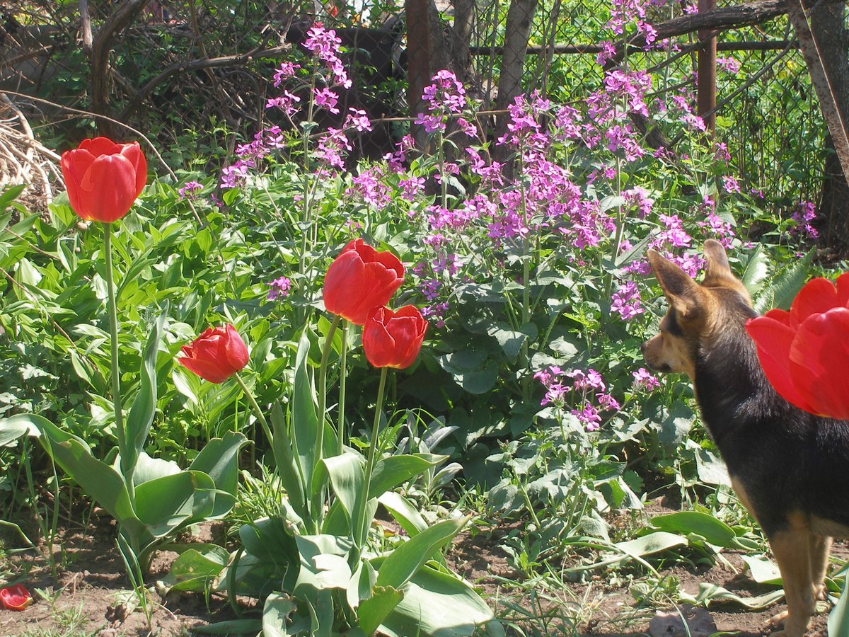 На кордоні єбєнєй
Спокійної ночі, Україно