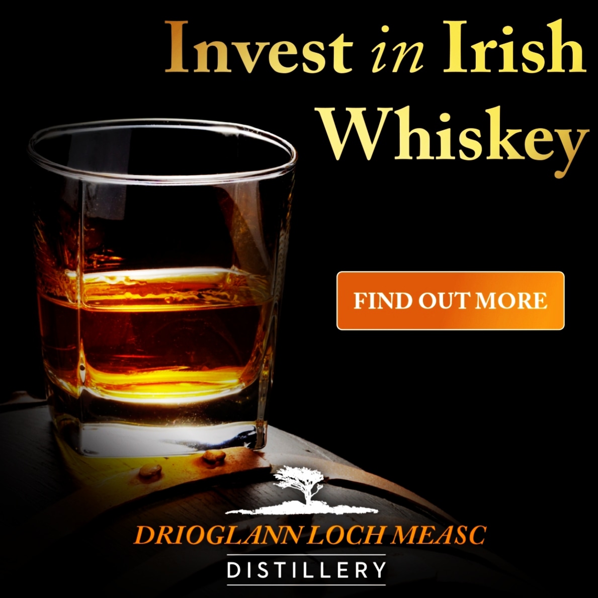 lough_mask's tweet photo. Would you like to be a part of something very special? Invest in the best - Loch Measc single malt, double distilled Irish Whiskey truly hand crafted in the wilds of Mayo on the shores of the beautiful Lough Mask. Follow the link below for more details
https://t.co/rzEmasL7ft https://t.co/No2lCQS7fJ
