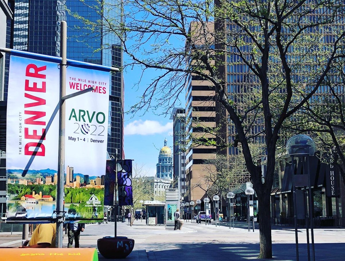 Jeanie Ching tzu Yu tweet media