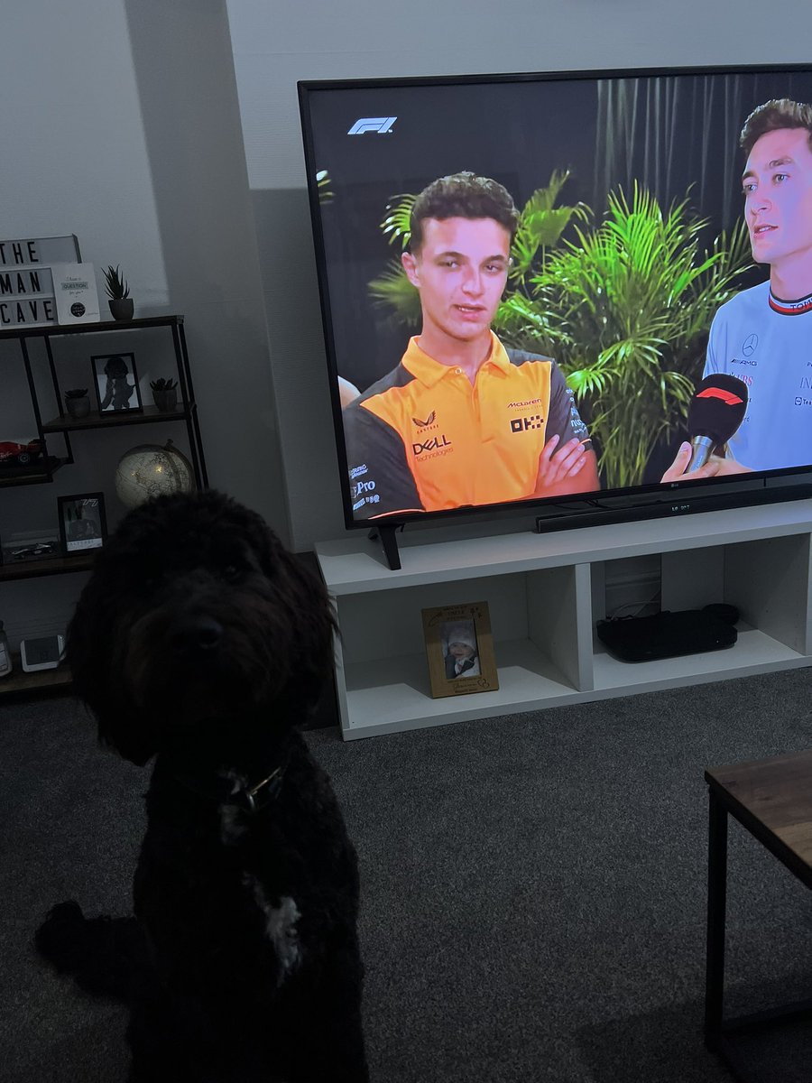 GS65Doggo's tweet photo. We’re getting ready!!! @OfficialGR63 @GeorgeRussell63 @MercedesAMGF1 #GR63 #GS65 #MiamiGP #F1 🏁🏎🇺🇸🐶 https://t.co/LYnScyTZXe