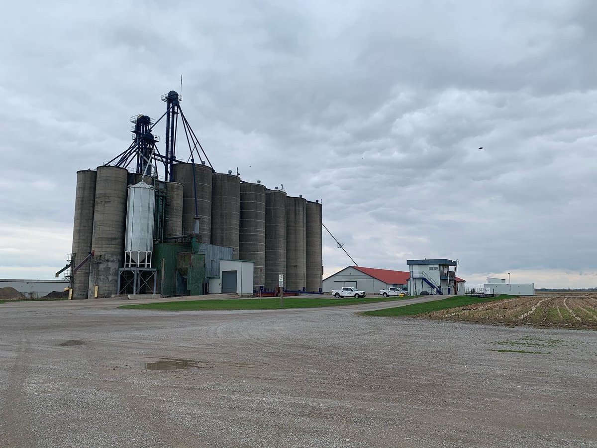 greatlakesgrain's tweet photo. Our Aylmer branch has 475,000bu storage with a 12,000 bu/hr leg and drying capabilities. @ChadHomick @CollardNolan or Lynn would love to help you out with your #grain needs as you head out into the field for #Plant22.       #ontag https://t.co/BUQjzFE0Tl