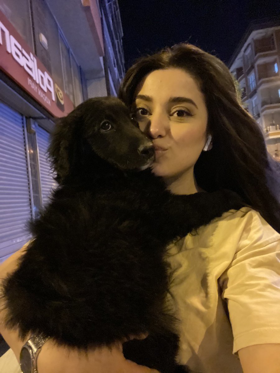 Yolda böyle bir şey buldum, kucağıma aldım eve gidiyoruz. O da dünden razıymış zaten gördüğünüz gibi