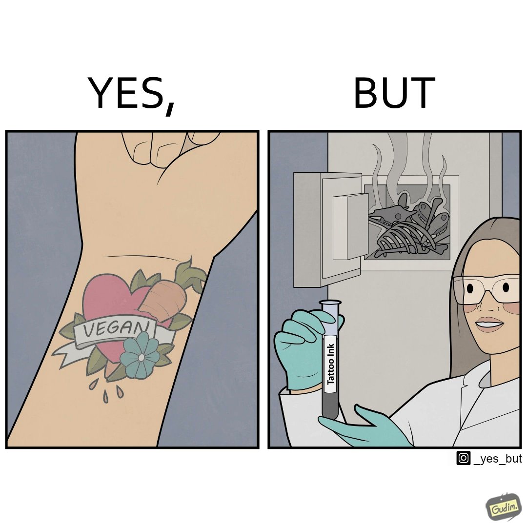 _yesbut_'s tweet photo. https://t.co/p9qZiDVByX