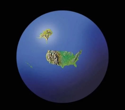 the world according to harrys team