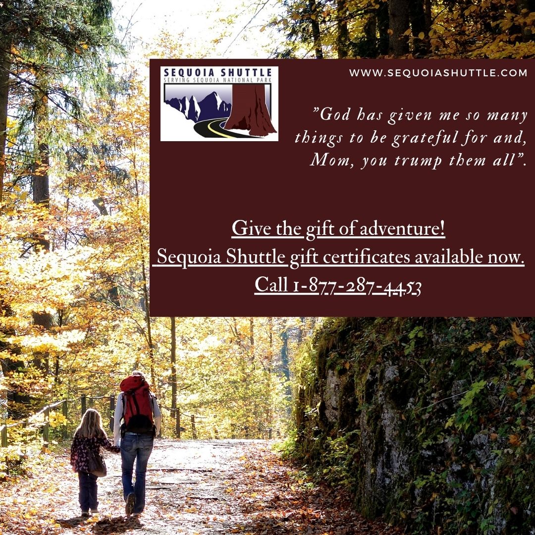 SequoiaShuttle's tweet photo. Give the gift of adventure this Mother's Day with our Sequoia Shuttle Gift Certificates. Available for pick up at the Visalia Transit Center located at 425 E. Oak Ave in Visalia, CA. The season start May 26th. Call 1-877-BUS-HIKE for more information. #nps #sequoiashuttle #mom https://t.co/h6runkpVMD