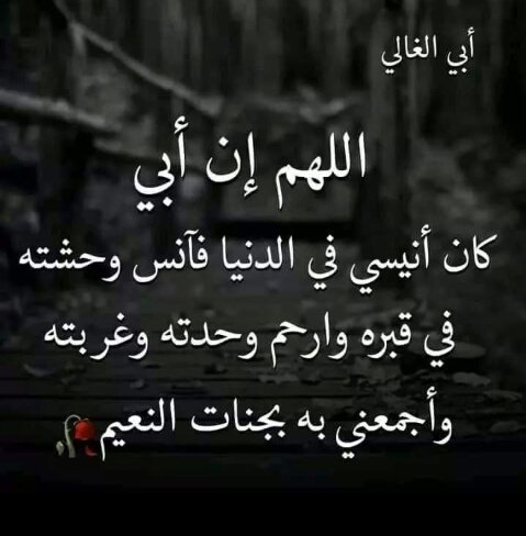 Mohammed 🍁 tweet media