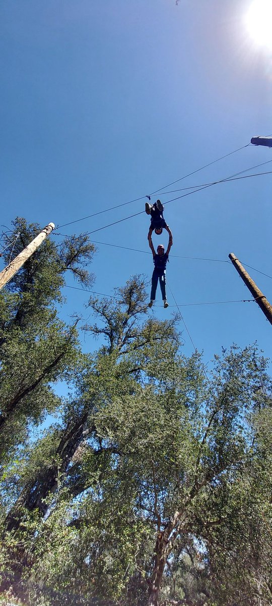 LQHSPSA's tweet photo. Awesome day of team &amp; confidence building at Camp Stevens Challenge Course for PSA😃 @LQBlackhawks @lqprincipal @CTE_Spark_DS https://t.co/CSxVsvZFrd